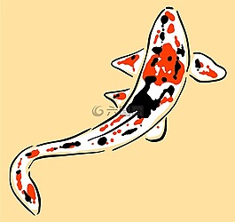魚,錦鯉,鯉魚