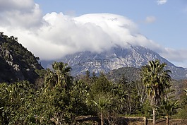 云山,樹,森林