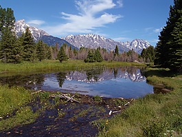 schwabacher 著陸,大提頓國家公園,懷俄明州