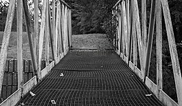橋,路徑,欄桿