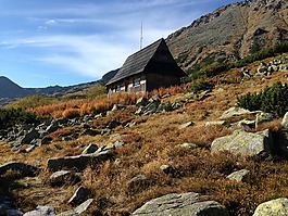 國家公園,波蘭,秋
