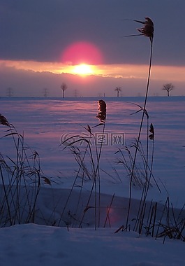 冬天,雪,日落