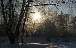 冬季,雪,太陽(yáng)