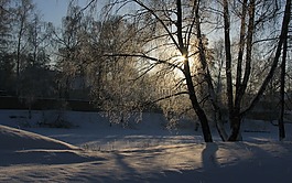 冬季,雪,太陽(yáng)