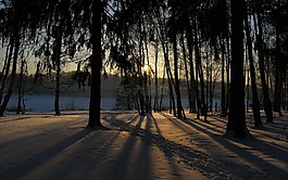 冬季,雪,太陽(yáng)
