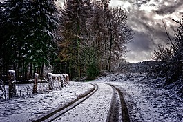 離,雪,追蹤
