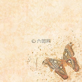 背景,剪貼簿,紙