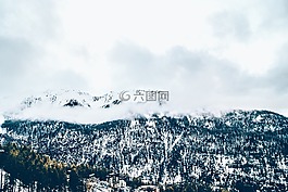 山,雪,樹