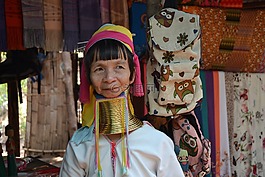 婦女,母長頸鹿,帕東