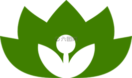 郁金香,花,春