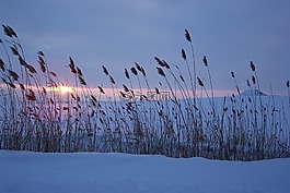 冬天,雪,日落