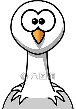 海鷗,鳥,鷗