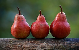 梨,紅色,枝杈