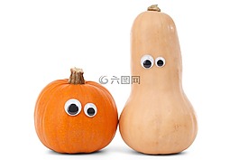 秋,秋天,食品