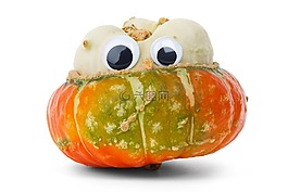 秋,秋天,食品