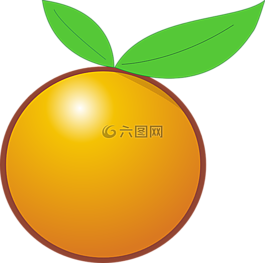 橙色,水果,柑橘