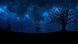 騎自行車,夜,樹