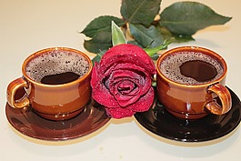 玫瑰,咖啡,杯