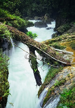 性质,危地马拉,semucchampey