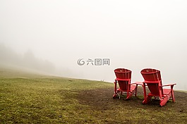 自然,草,霧