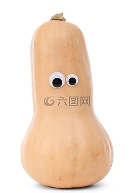 字符,南瓜,白