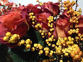玫瑰,浆果,floristry