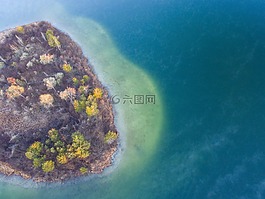 樹,植物,自然