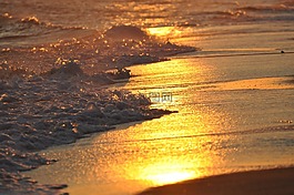 海灘,日落,海洋
