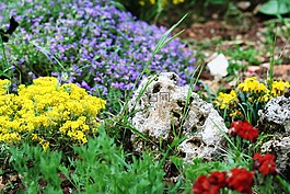 假山,鮮花,紫