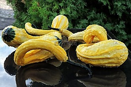 南瓜,黃色,滴