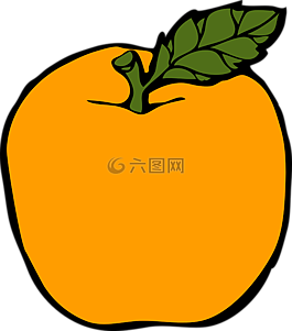 橙色,水果,食品