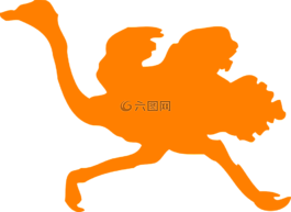 鸵鸟,橙色,大型鸟类