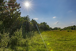自然,太陽,陽光