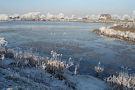 冬天,性质,雪
