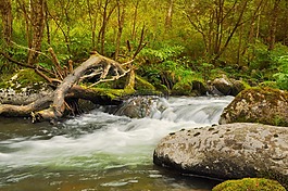 河,巖,海灘