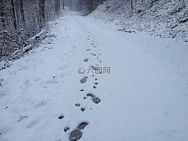 雪,痕跡,人的
