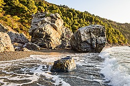 巖,海灘,野生