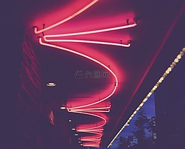 黑暗,夜,樹