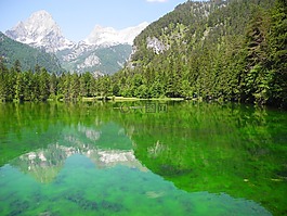 水域,湖,綠色