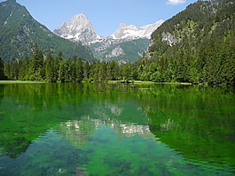 水域,湖,綠色