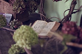 書,鮮花,生活