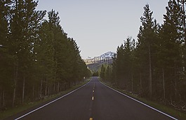 樹,山,公路旅行