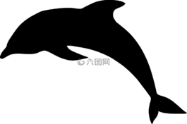 海豚,跳,側(cè)影