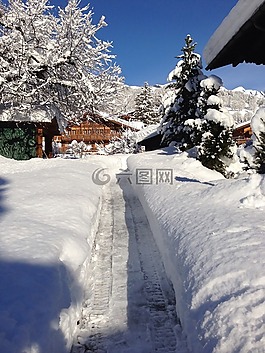 網(wǎng)站,雪,深雪