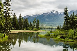 自然,景觀,山