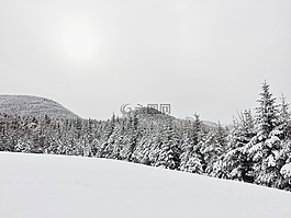 雪,雪覆蓋,冷