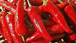 水果,辣椒,蔬菜