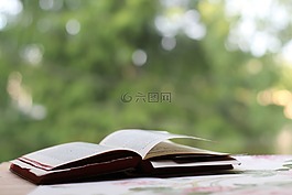 書,表,打開的書