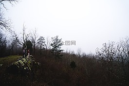 男子,戶外,伍茲