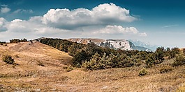 山,福雷斯特,森林